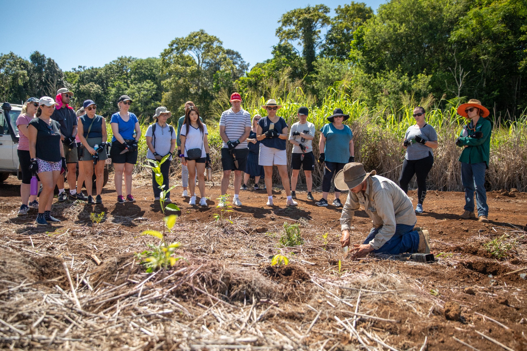 Reforest team and Challenger guests on planting day at the restoration site